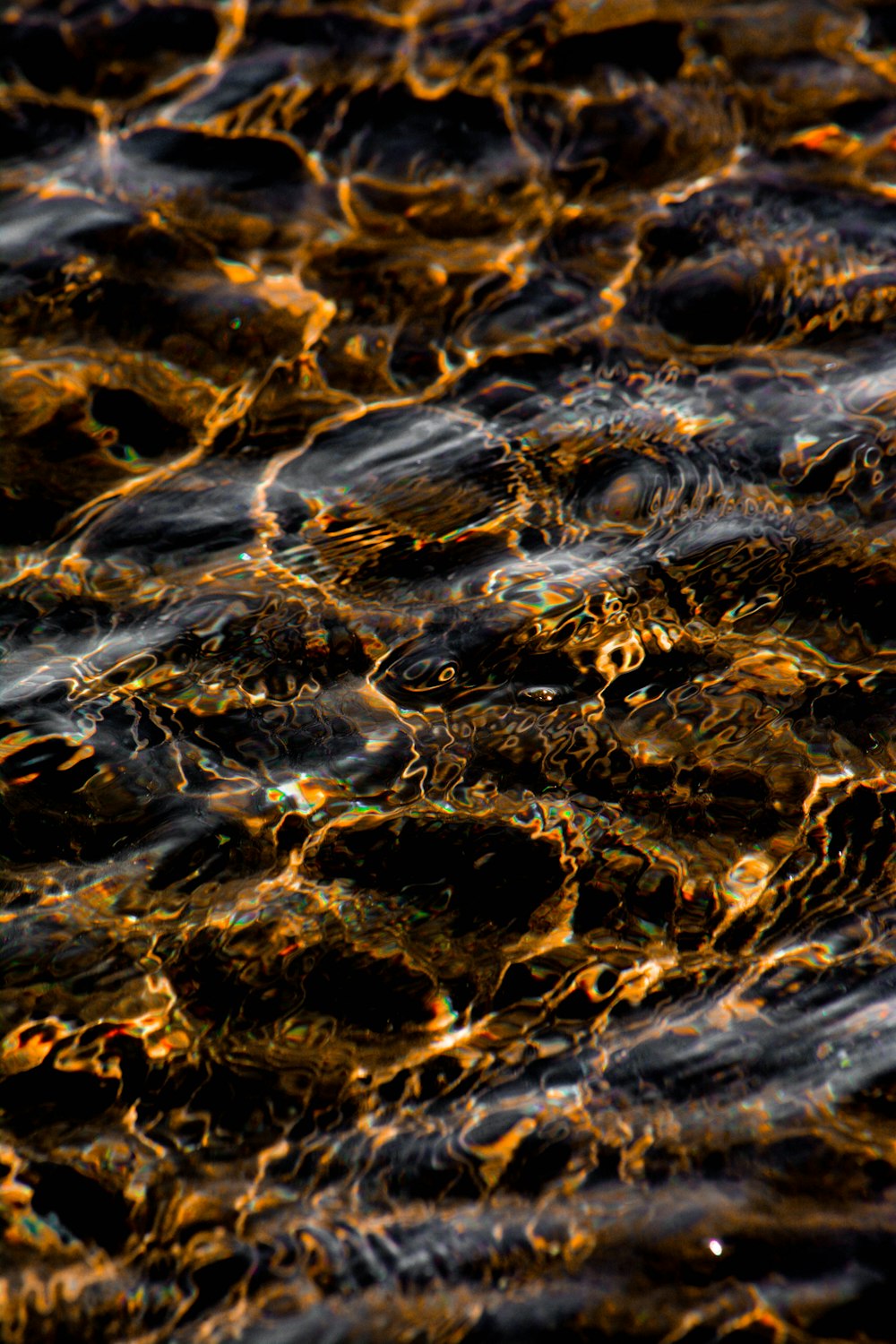 water droplets on brown sand