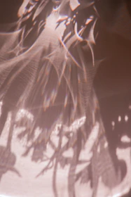 Abstract play of light and shadow on textured surfaces, evoking calm and introspection.