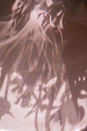 Softly animated shadows and highlights creating a sense of thoughtful, rigorous transformation.