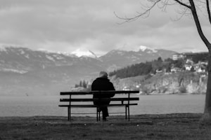 person sitting on bench facing the lake