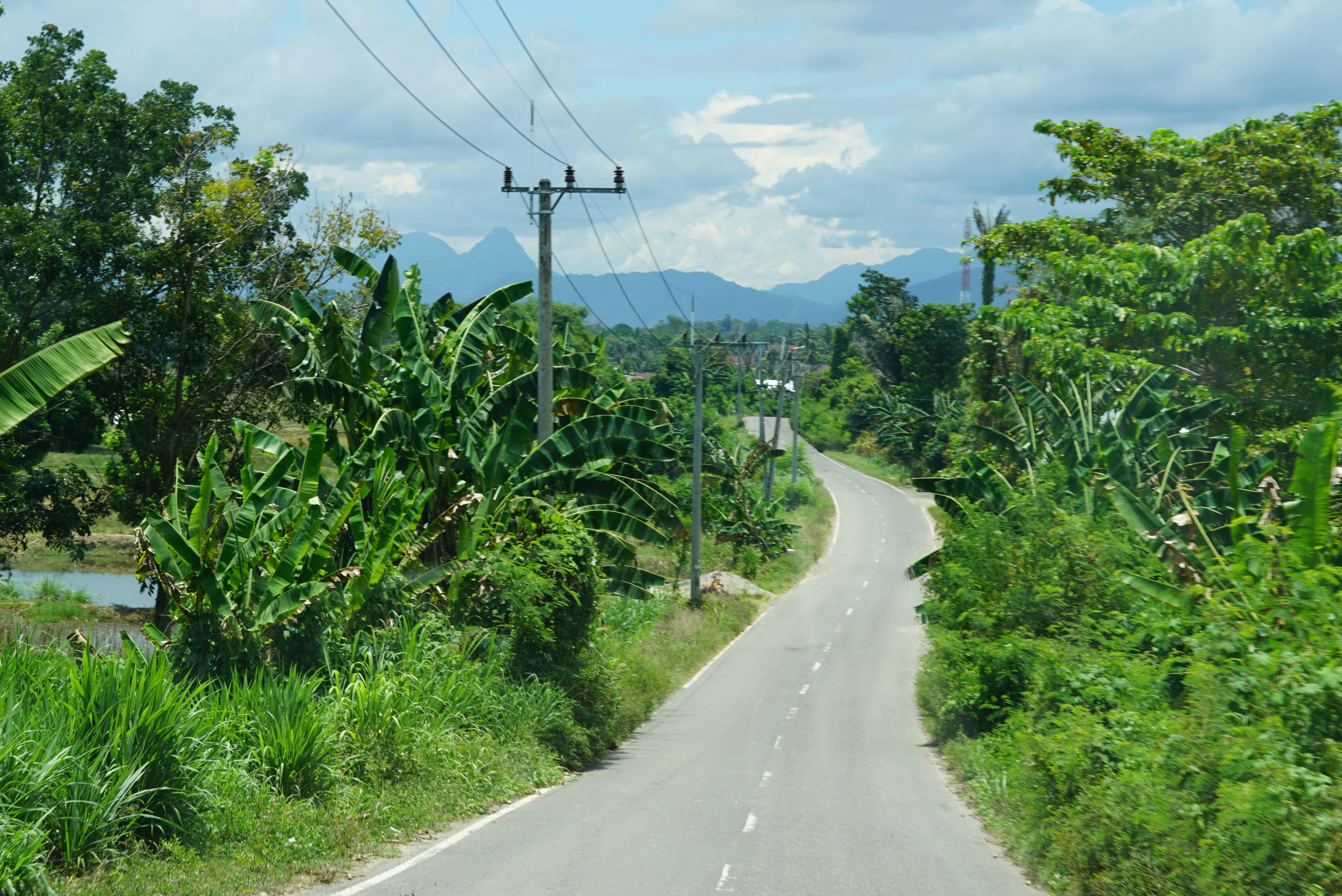 Steep mountain road winding through lush green Colombian Andes, dramatic elevation changes, tropical vegetation