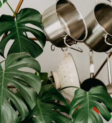 silver steel pendant lamp near green plant