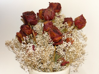 A bouquet of dried red roses intertwined with delicate white baby's breath flowers is arranged in a white vase. The roses appear wilted and faded, with darkened petals that are crumpled and textured. The soft, neutral background highlights the intricate details of the flowers.