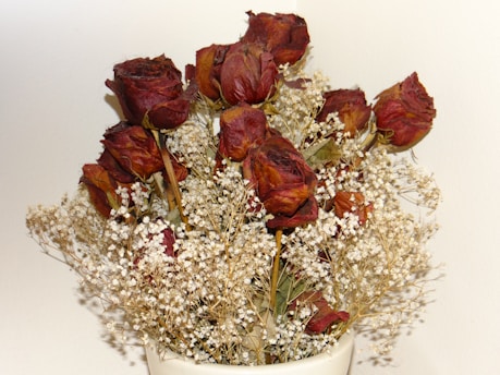 A bouquet of dried red roses intertwined with delicate white baby's breath flowers is arranged in a white vase. The roses appear wilted and faded, with darkened petals that are crumpled and textured. The soft, neutral background highlights the intricate details of the flowers.
