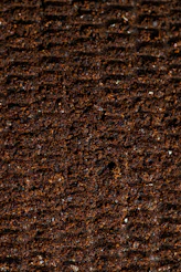 brown and black area rug