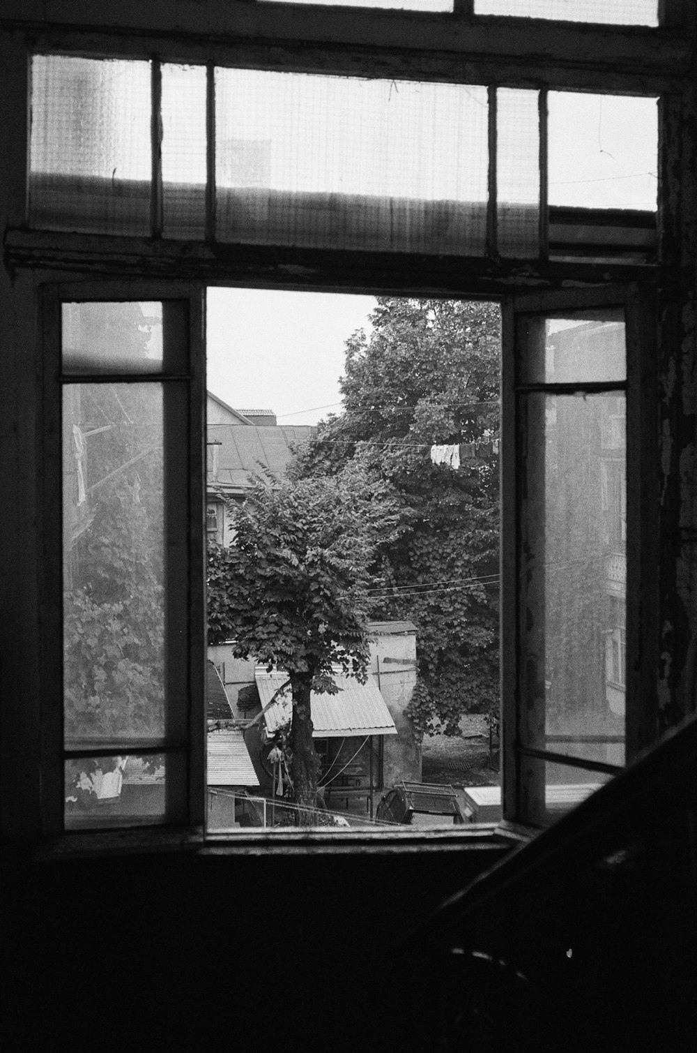 grayscale photo of trees and buildings