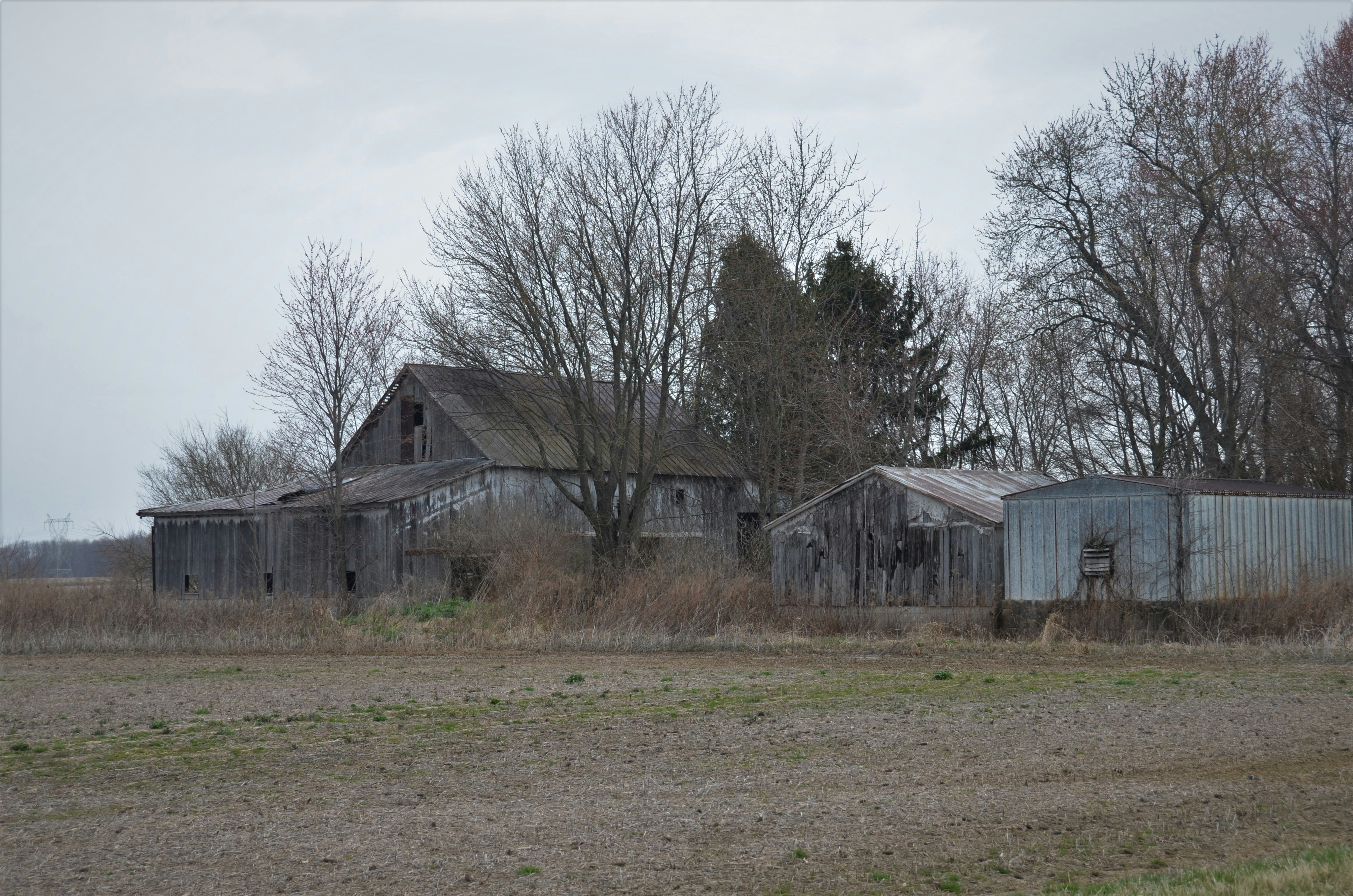 Cozy Life Sims: Saving Towns From Lazy Neighbors