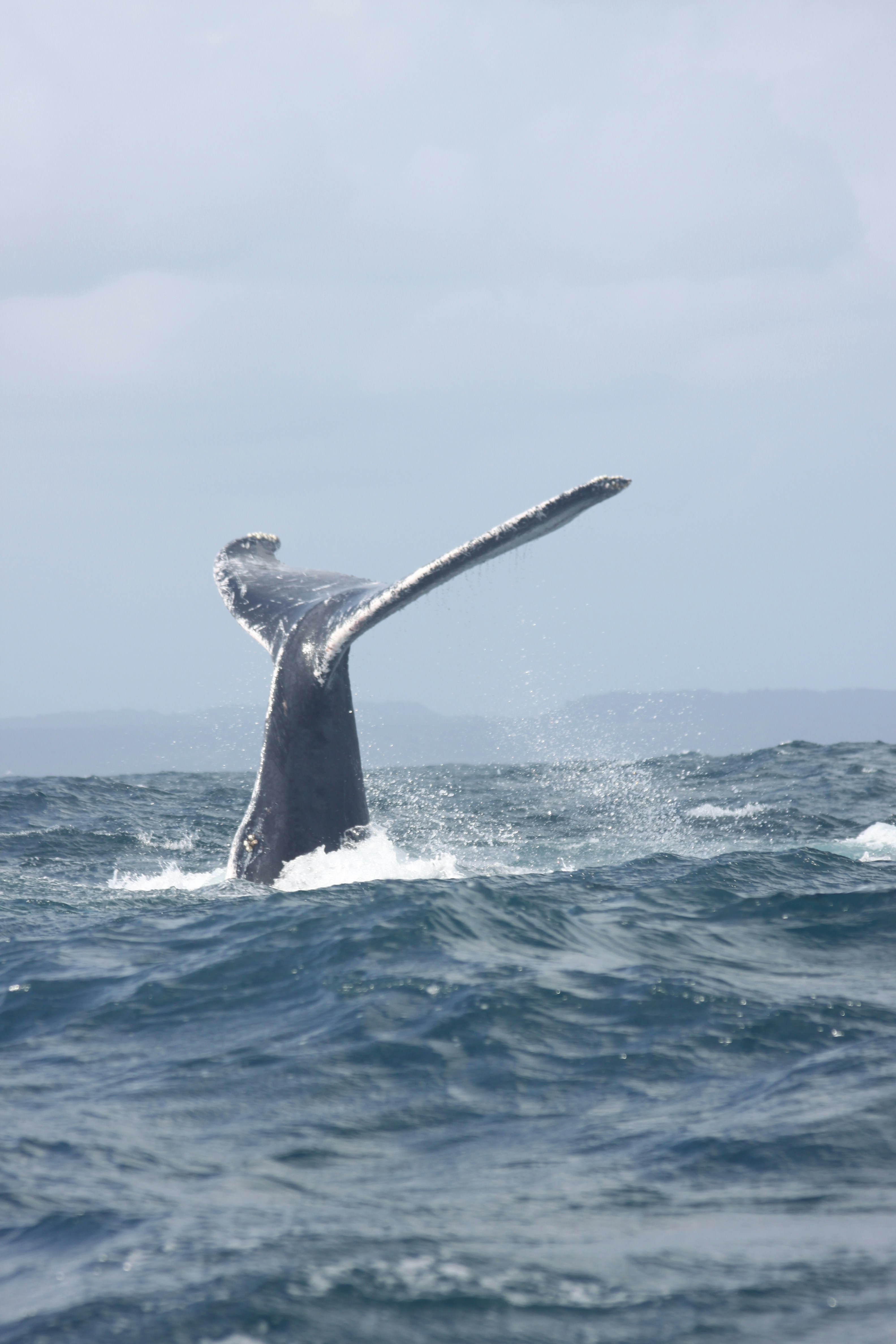 Background image for slide 1