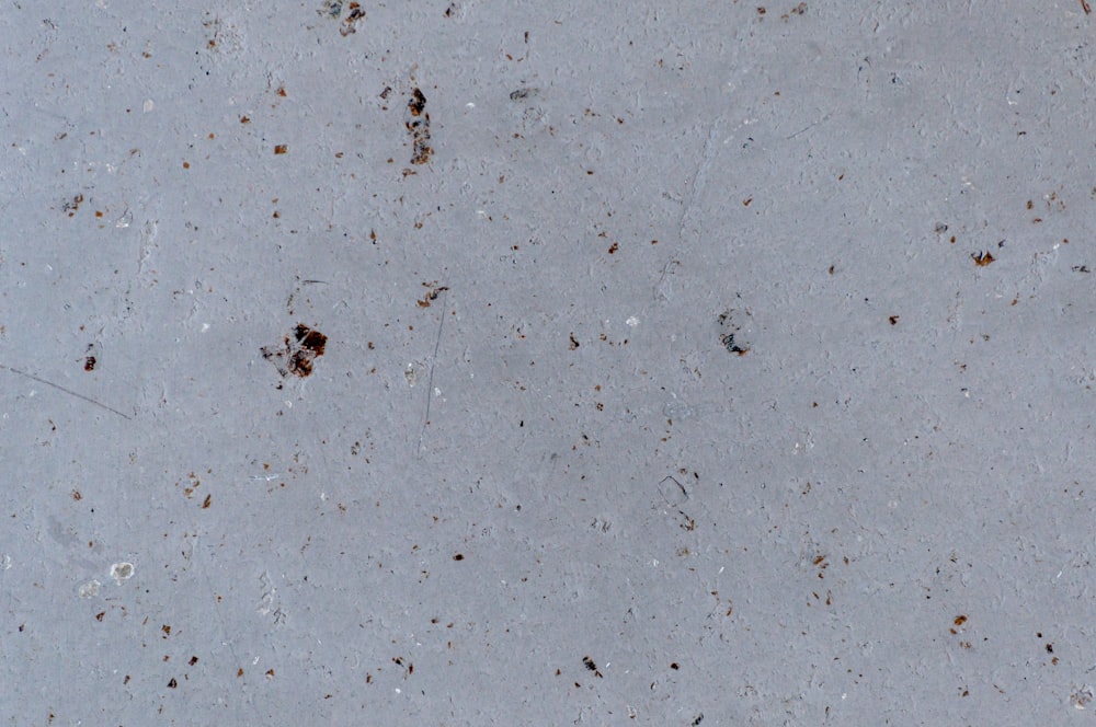 a close up of a cement surface with dirt on it