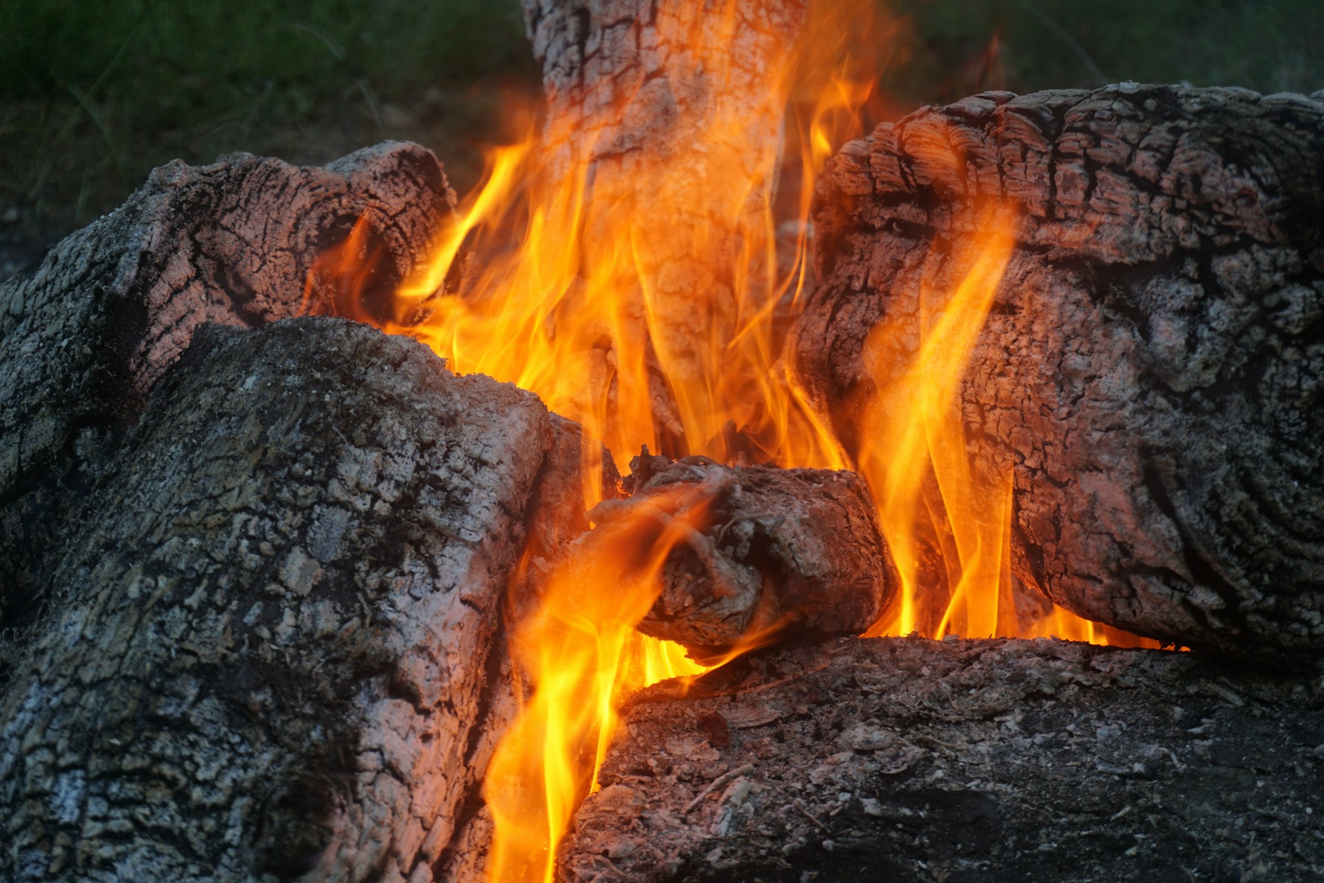 burning wood on fire pit