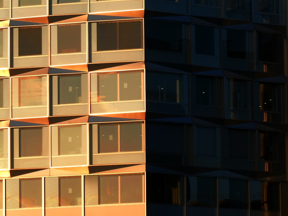 brown and black concrete building