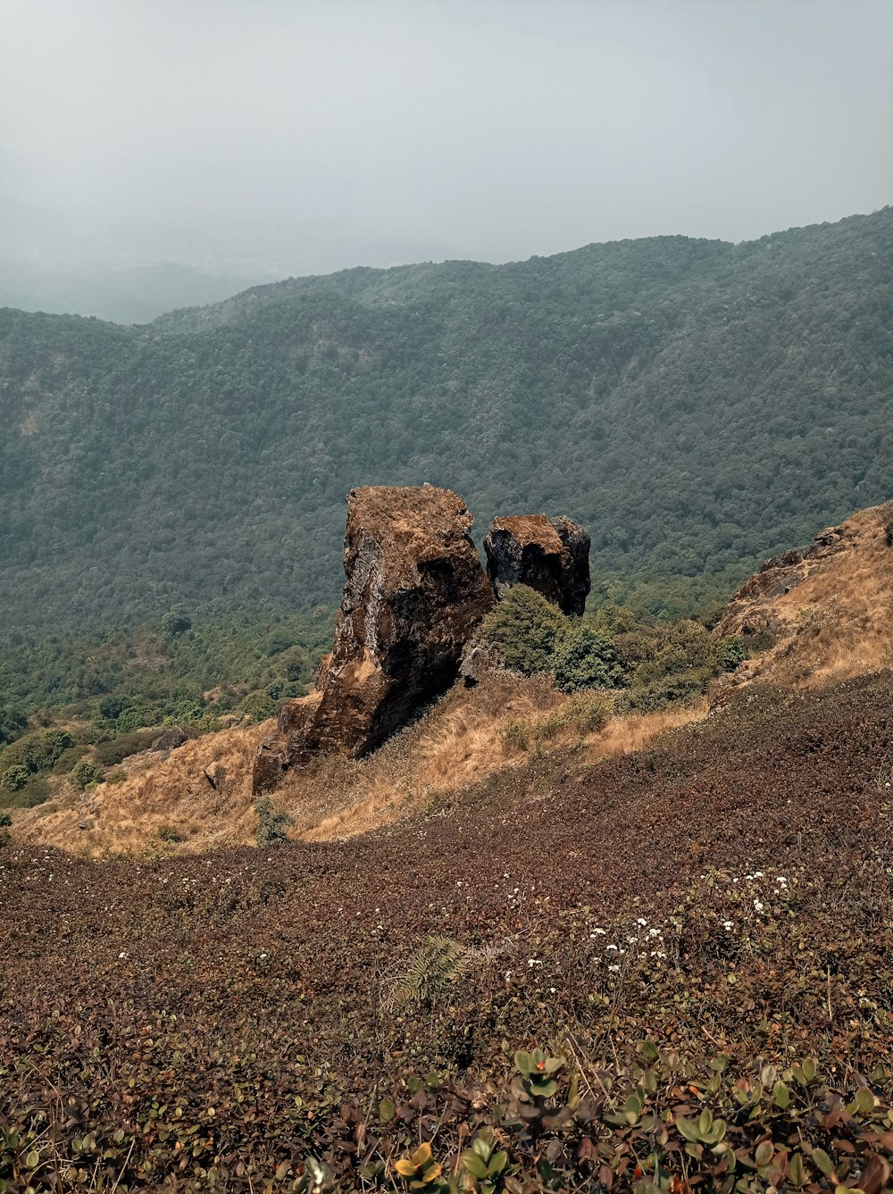 brown rock formation on brown soil during daytime