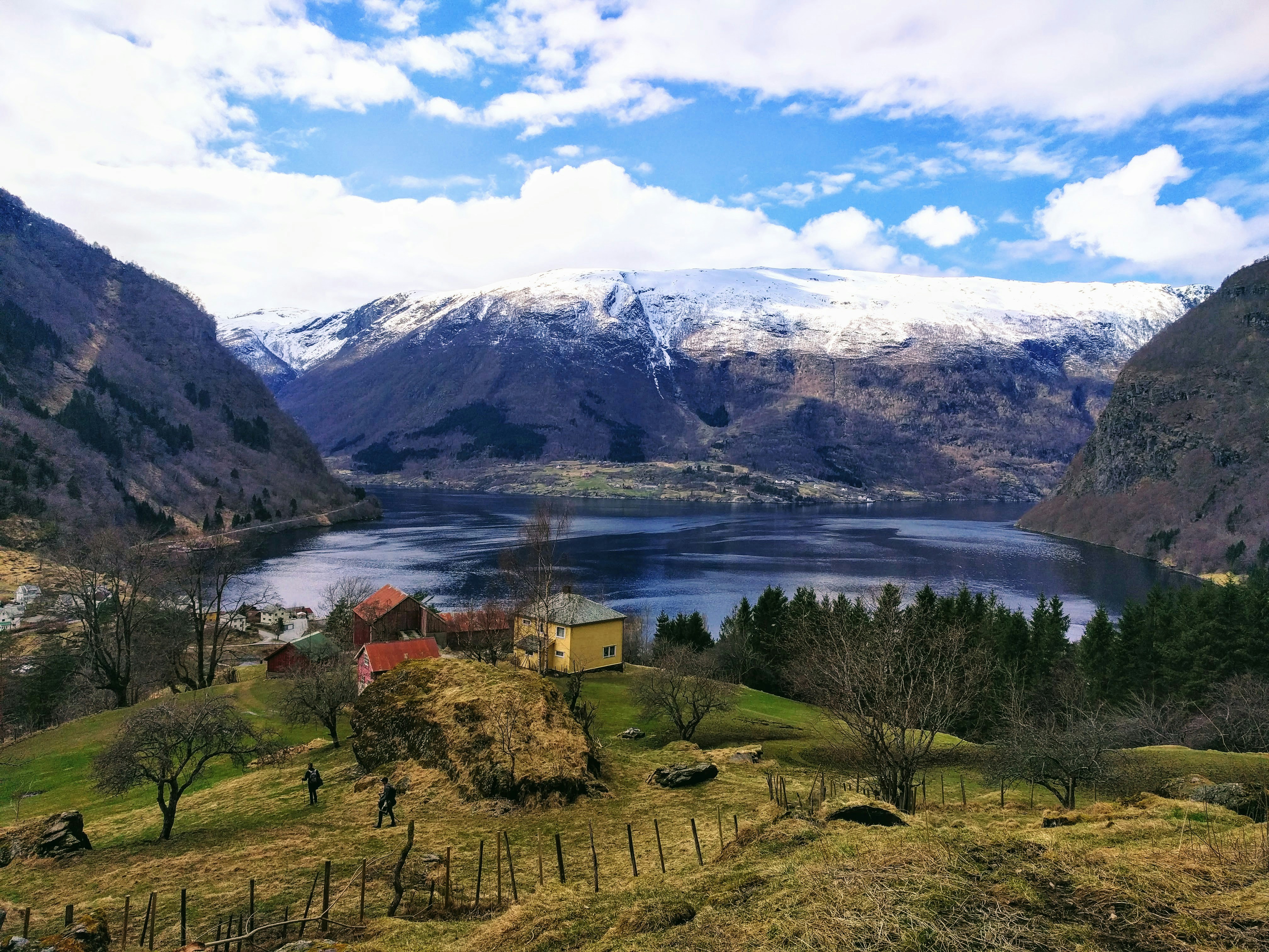Blank soccer jerseys 24-25