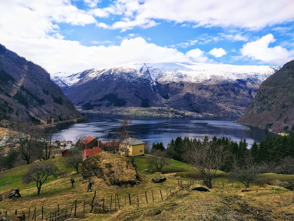 green trees near body of water and mountain under blue sky during daytime