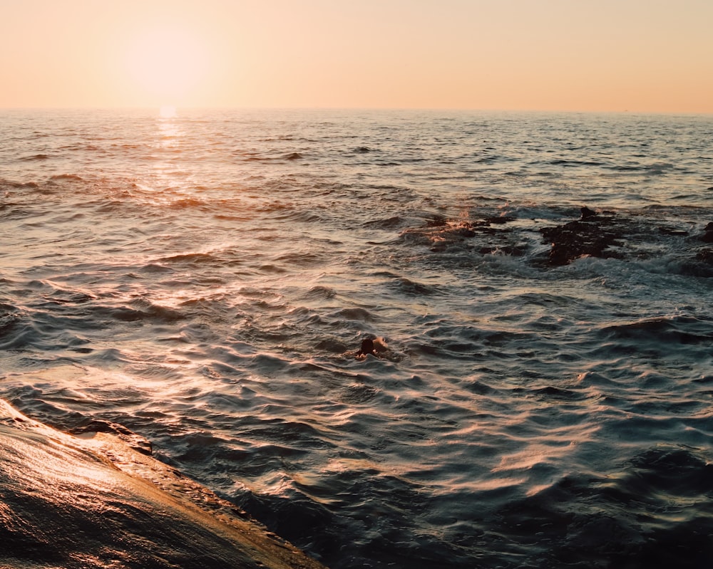 body of water during sunset