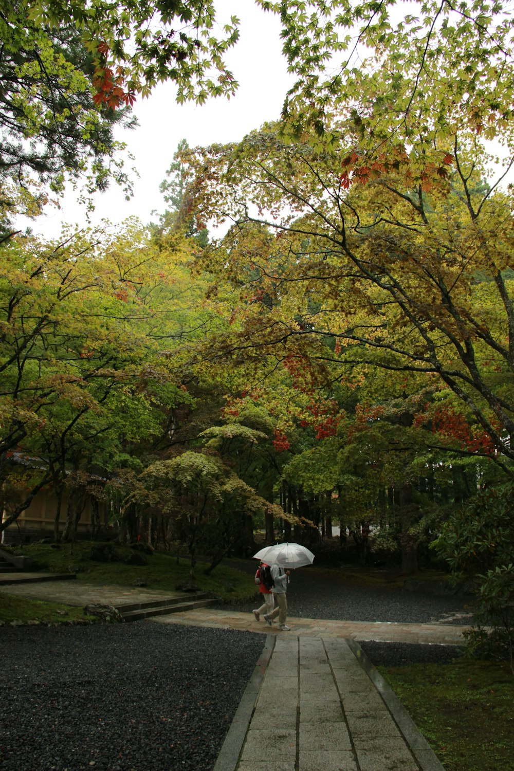 person in white long sleeve shirt walking on sidewalk during daytime