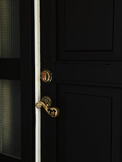 gold door knob on black wooden door