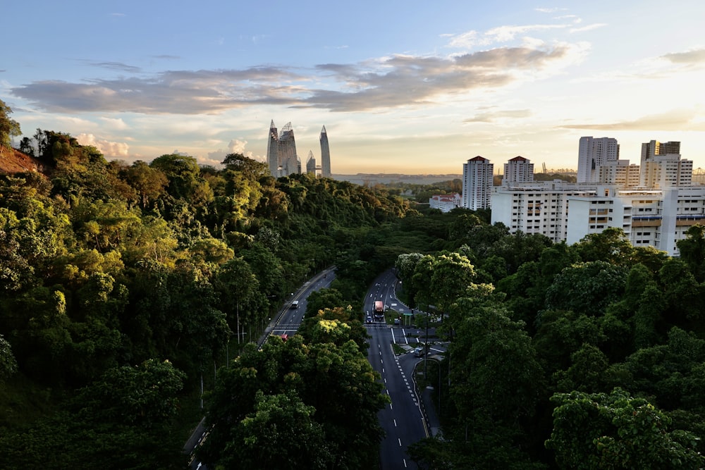 aerial view of green trees and buildings during daytime