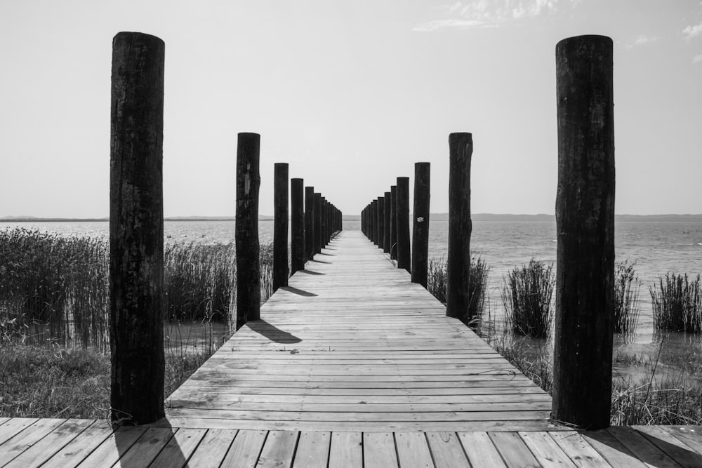 grayscale photo of wooden dock