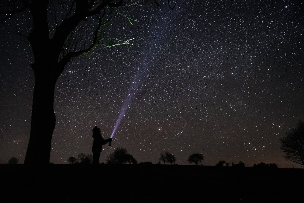 silhouette of person standing under tree during night time