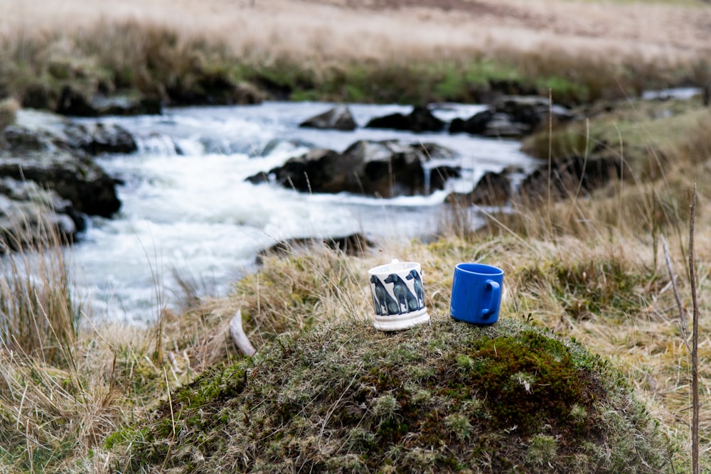 blue plastic bucket on green grass near river during daytime