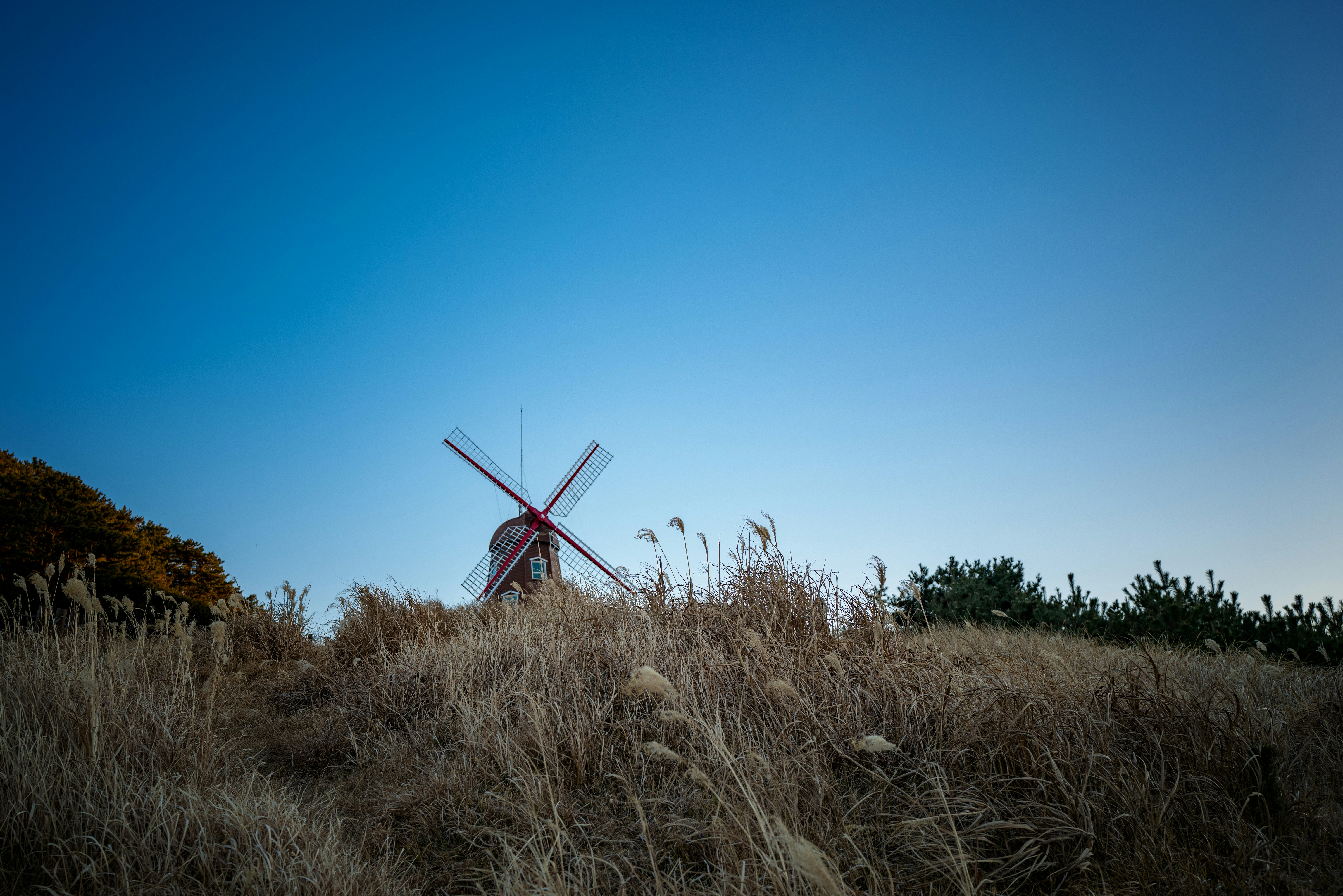 Photo by mbuff