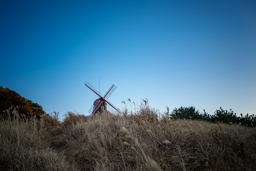 red windmill on brown grass field under blue sky during daytime