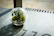 A glass terrarium with lush green plants sitting on a sunny windowsill.