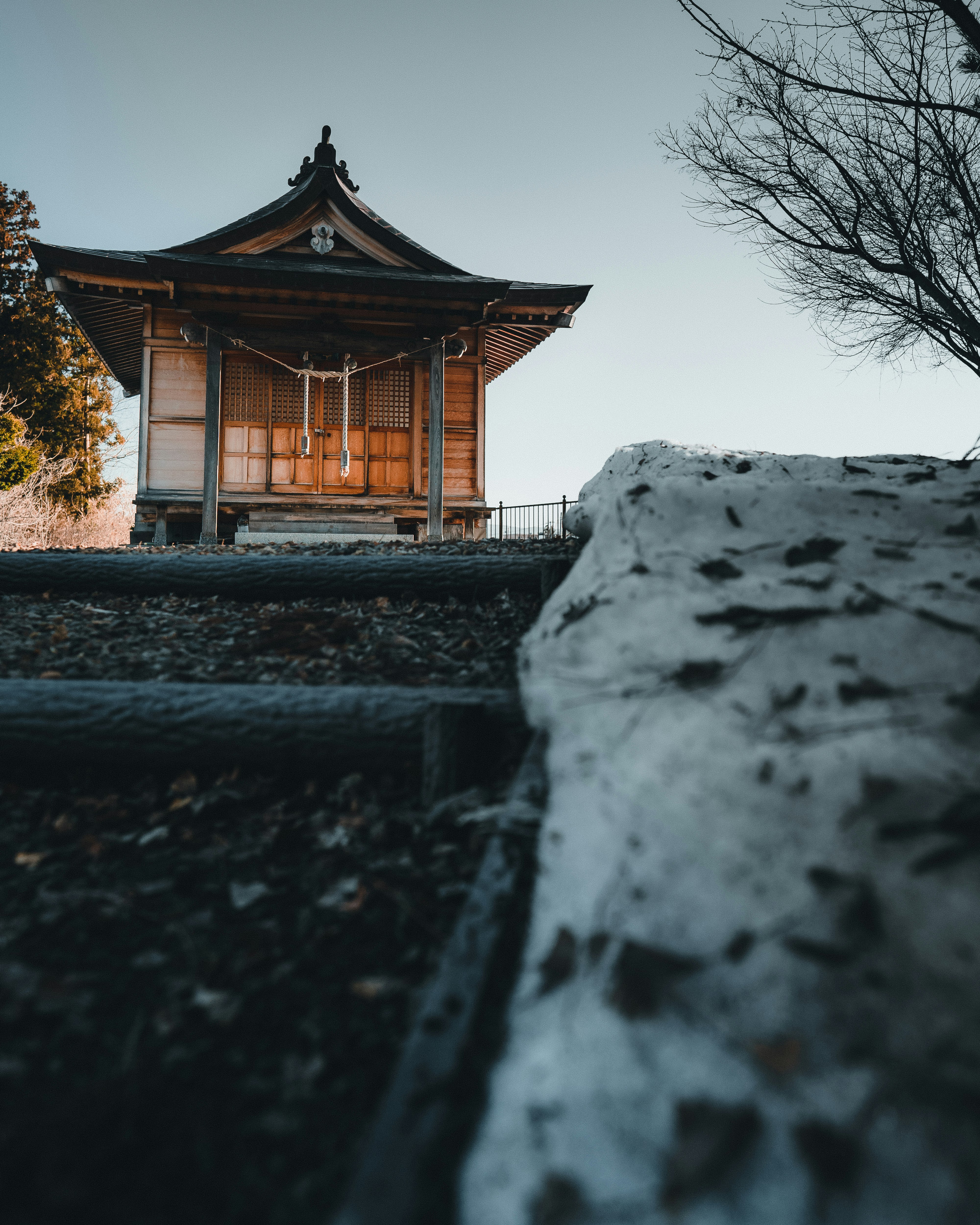 brown wooden pagoda temple near bare trees during daytime