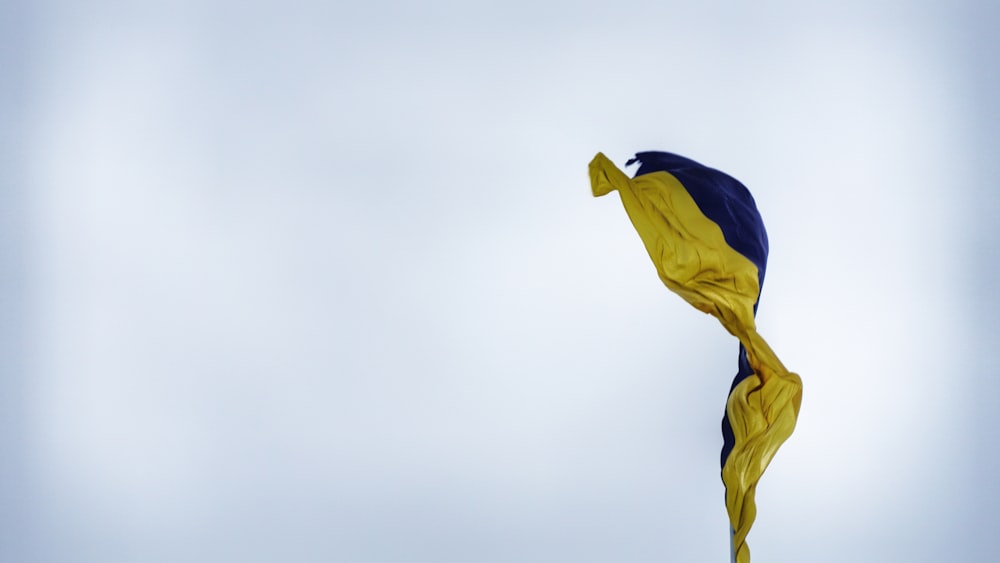 paraguas amarillo y azul bajo el cielo blanco