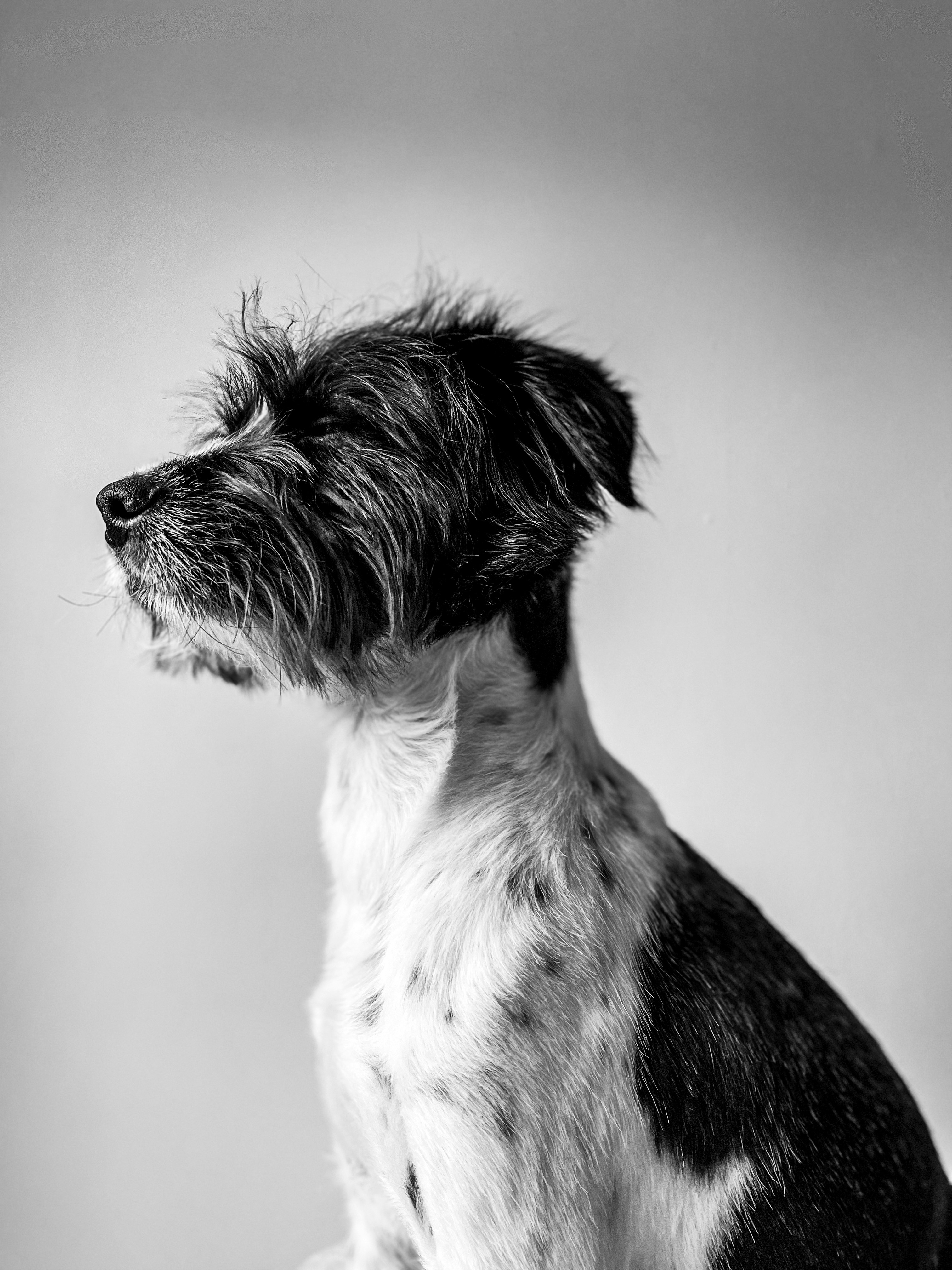 Photo by antovilardo