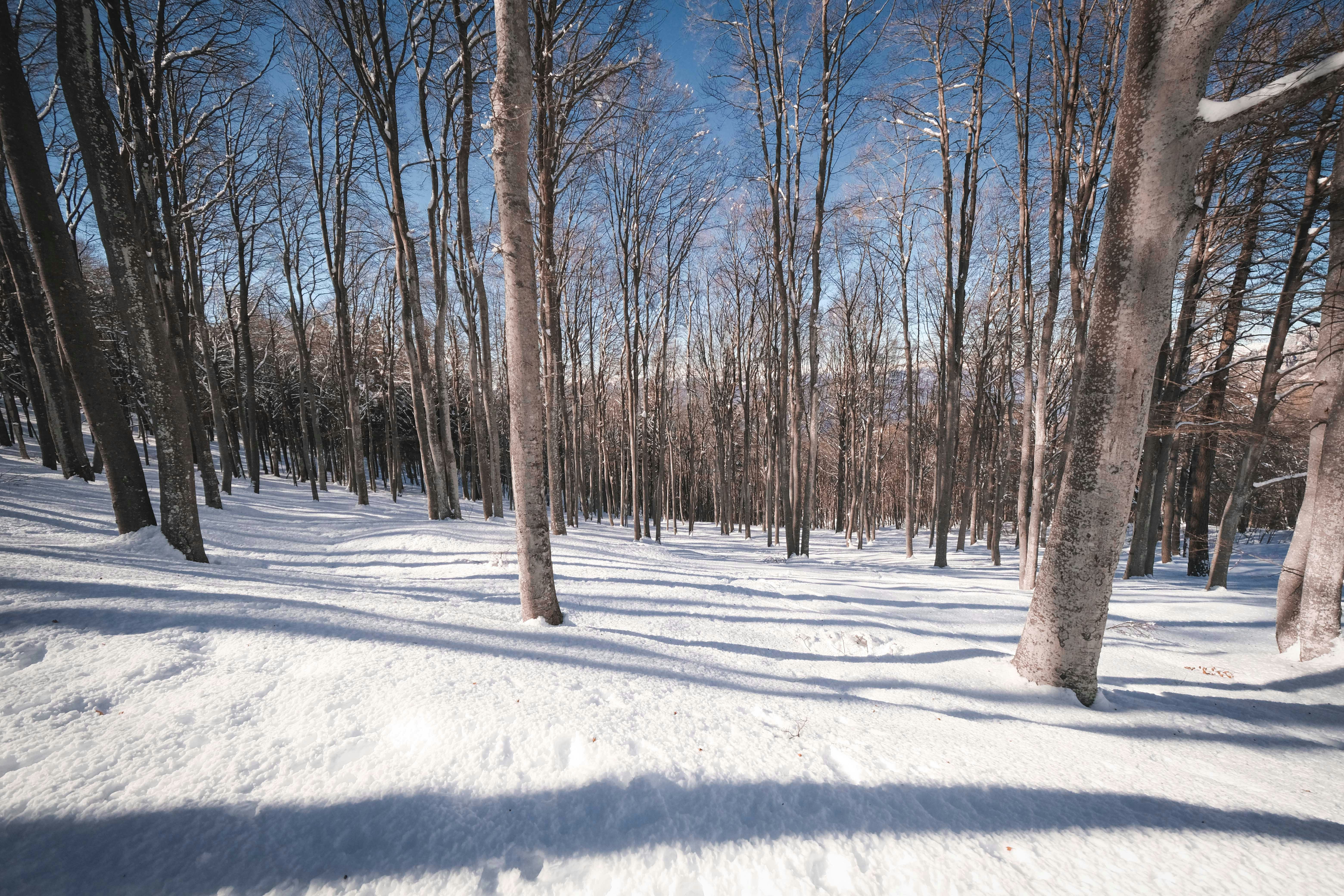 Photo by francesco_ungaro