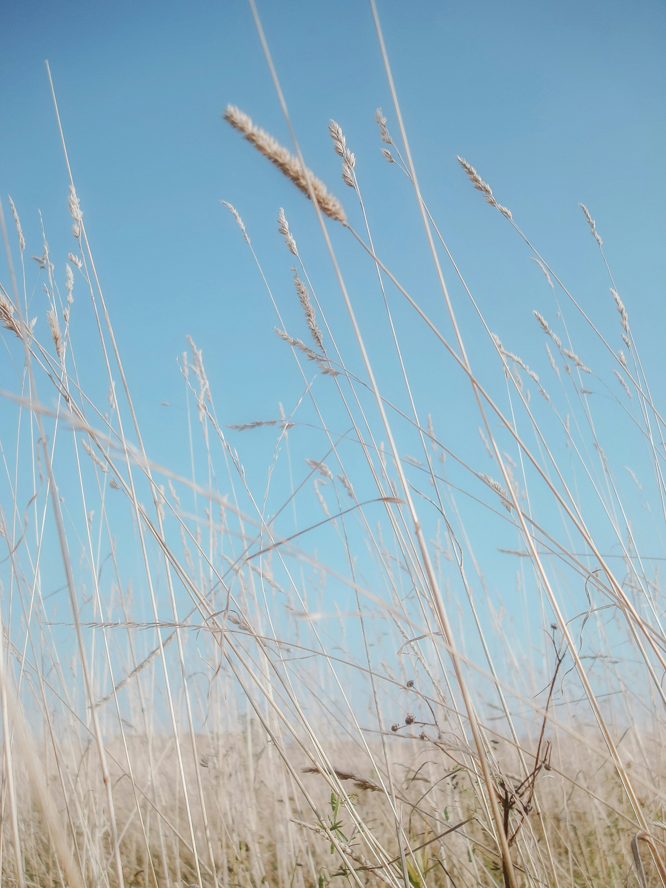 Photo by eugene_golovesov