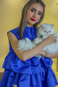 A stylish cat modeling a vibrant custom dress indoors with soft lighting.