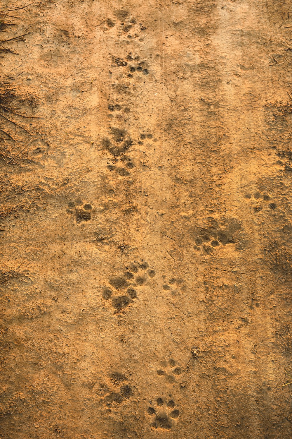 brown sand with black stones