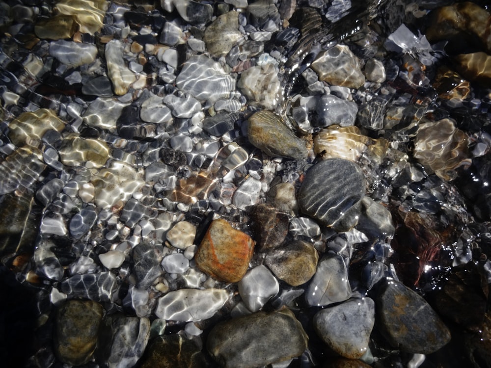 gray and brown stone fragments