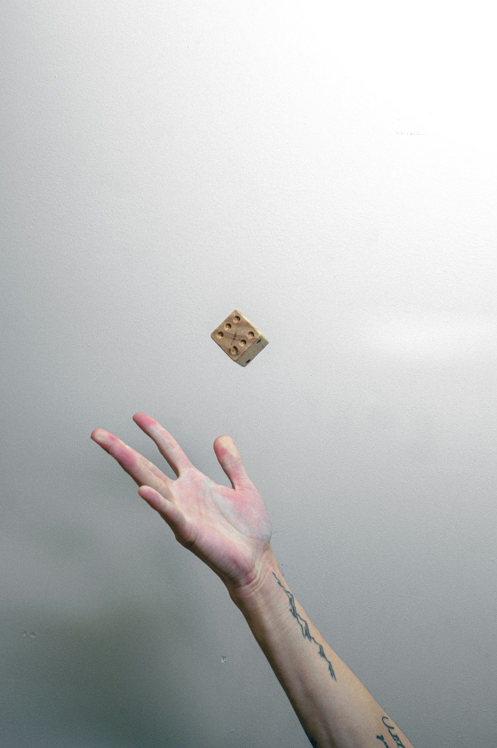 persons hand on white wall