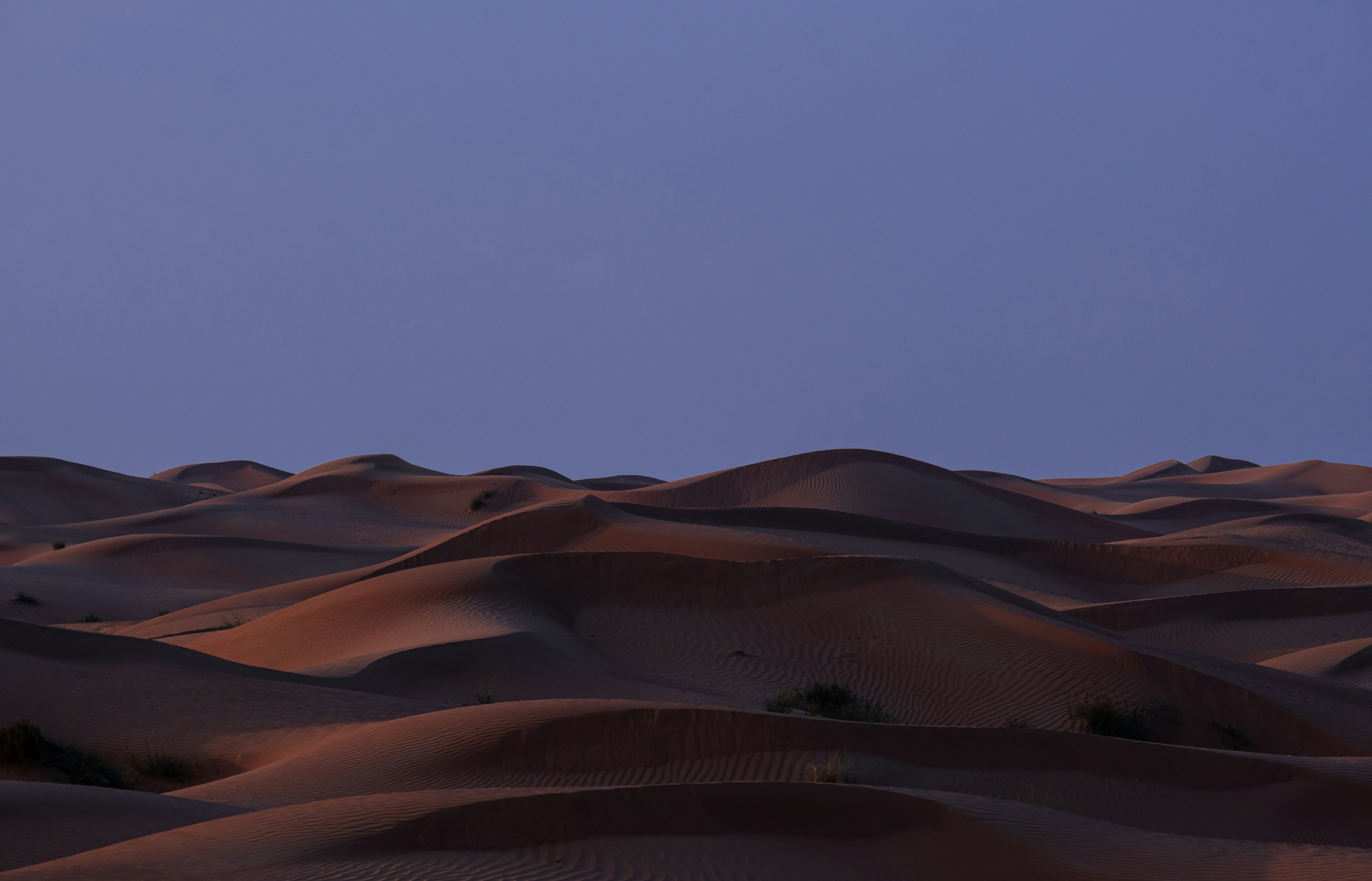 Photo by mo_design_3d