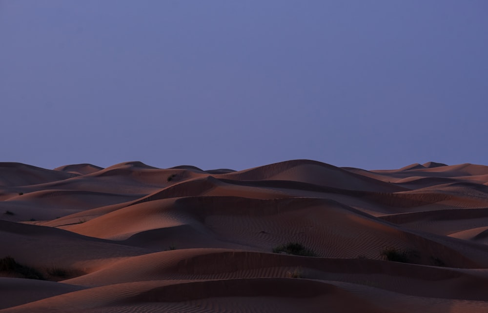 brown sand under blue sky during daytime