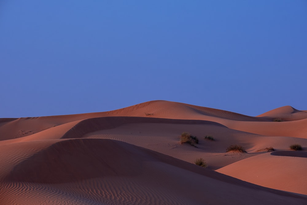 brown sand under blue sky during daytime