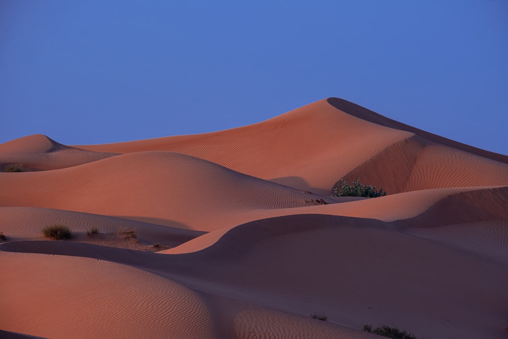 Dunes de sable brun sous un ciel bleu pendant la journée