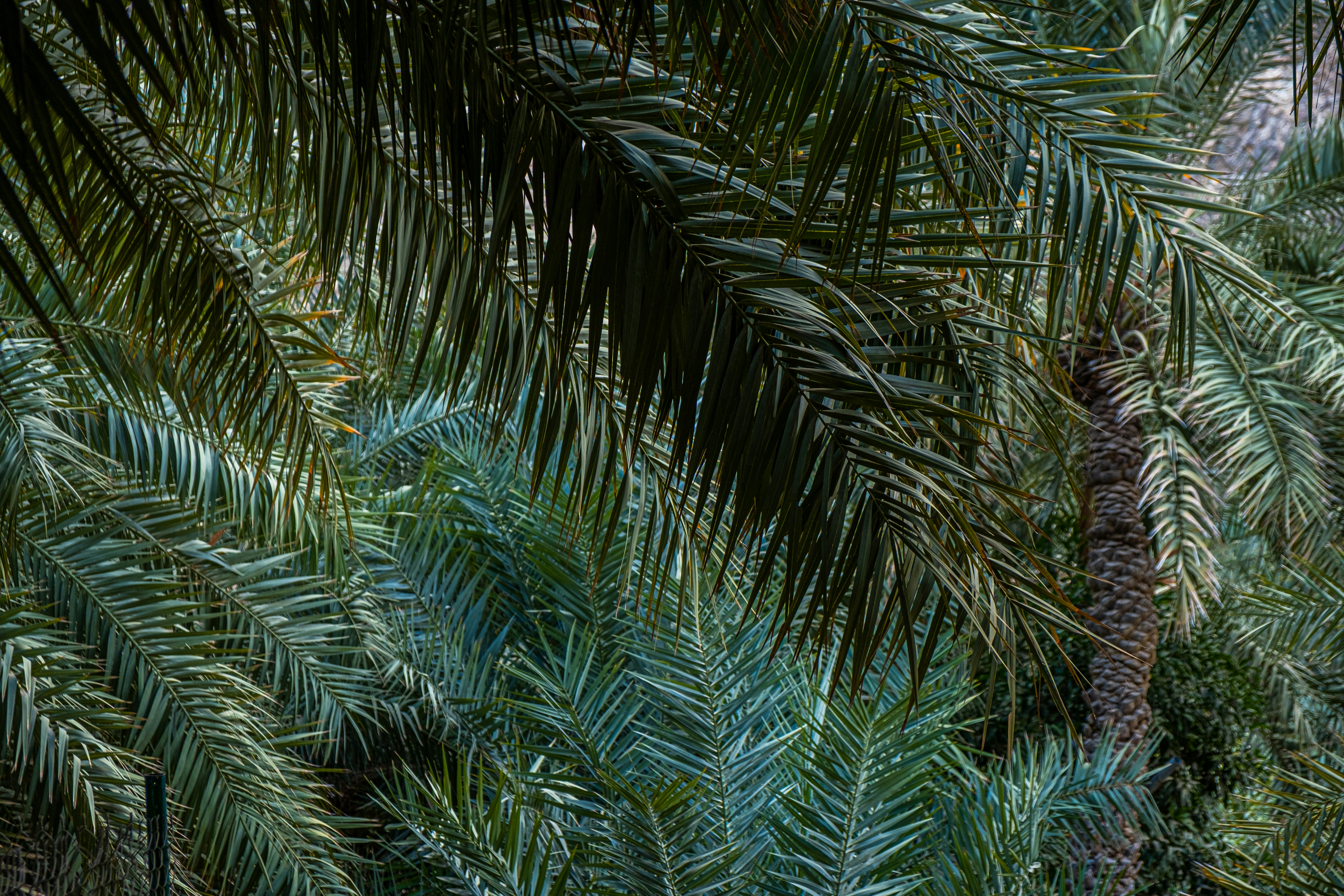 Photo by mo_design_3d