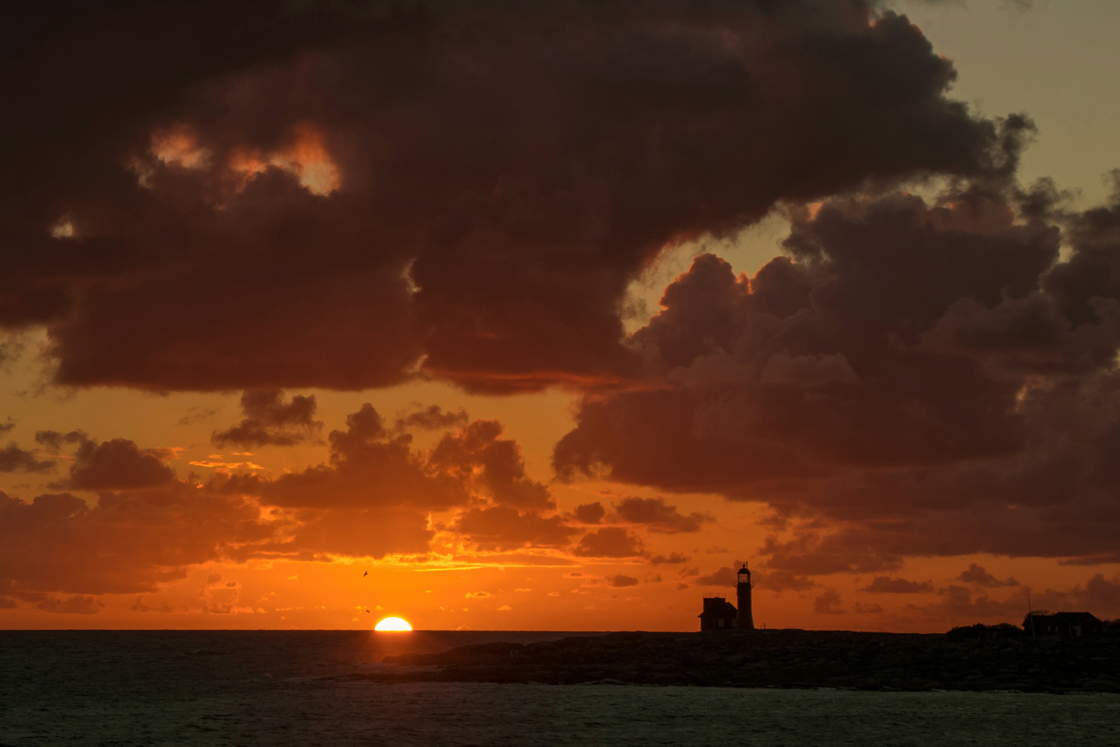 Photo by nik_nikolla_