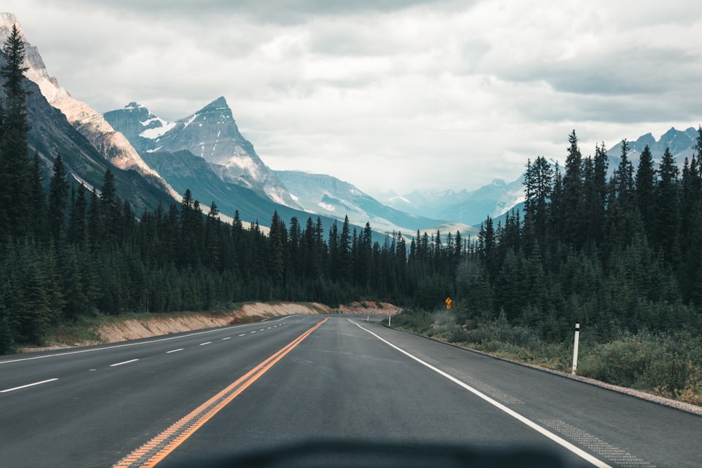 gray concrete road between green trees and mountains during daytime