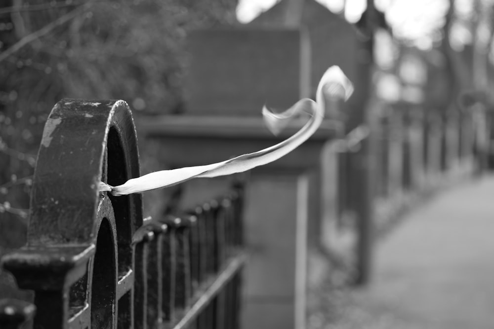 grayscale photo of water drop on metal fence