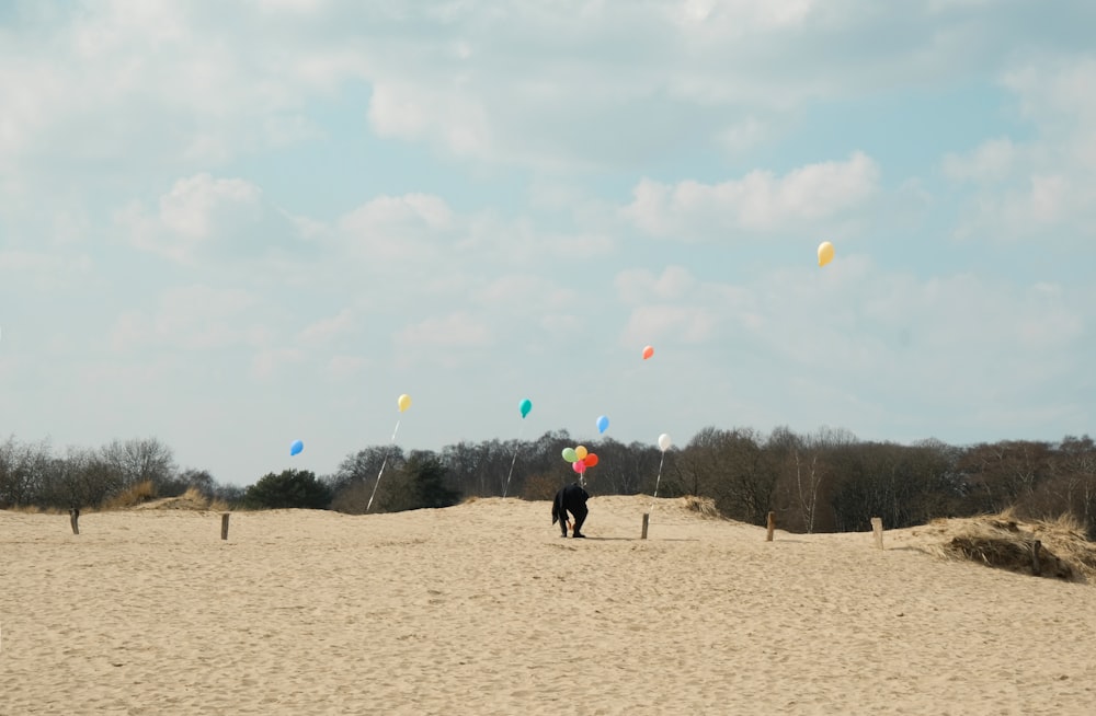 people walking on brown sand during daytime