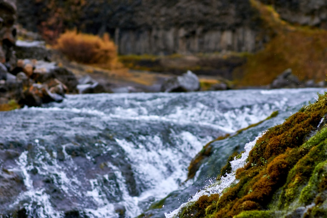 water falls in the forest