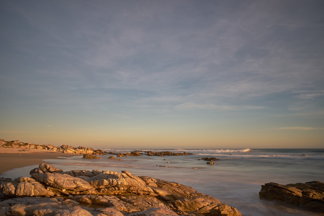 brown rocky shore during daytime