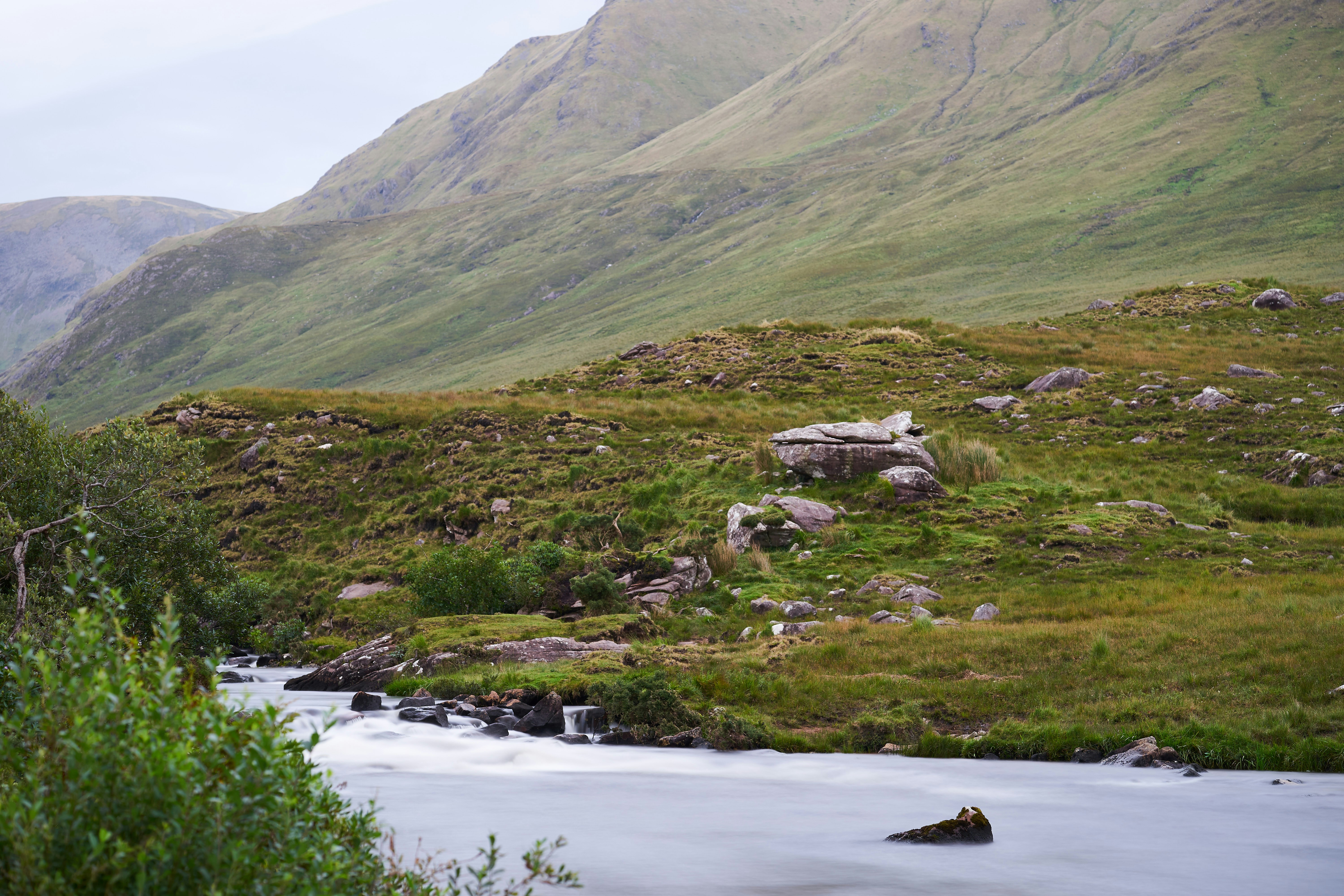 Photo by wolfgang_hasselmann