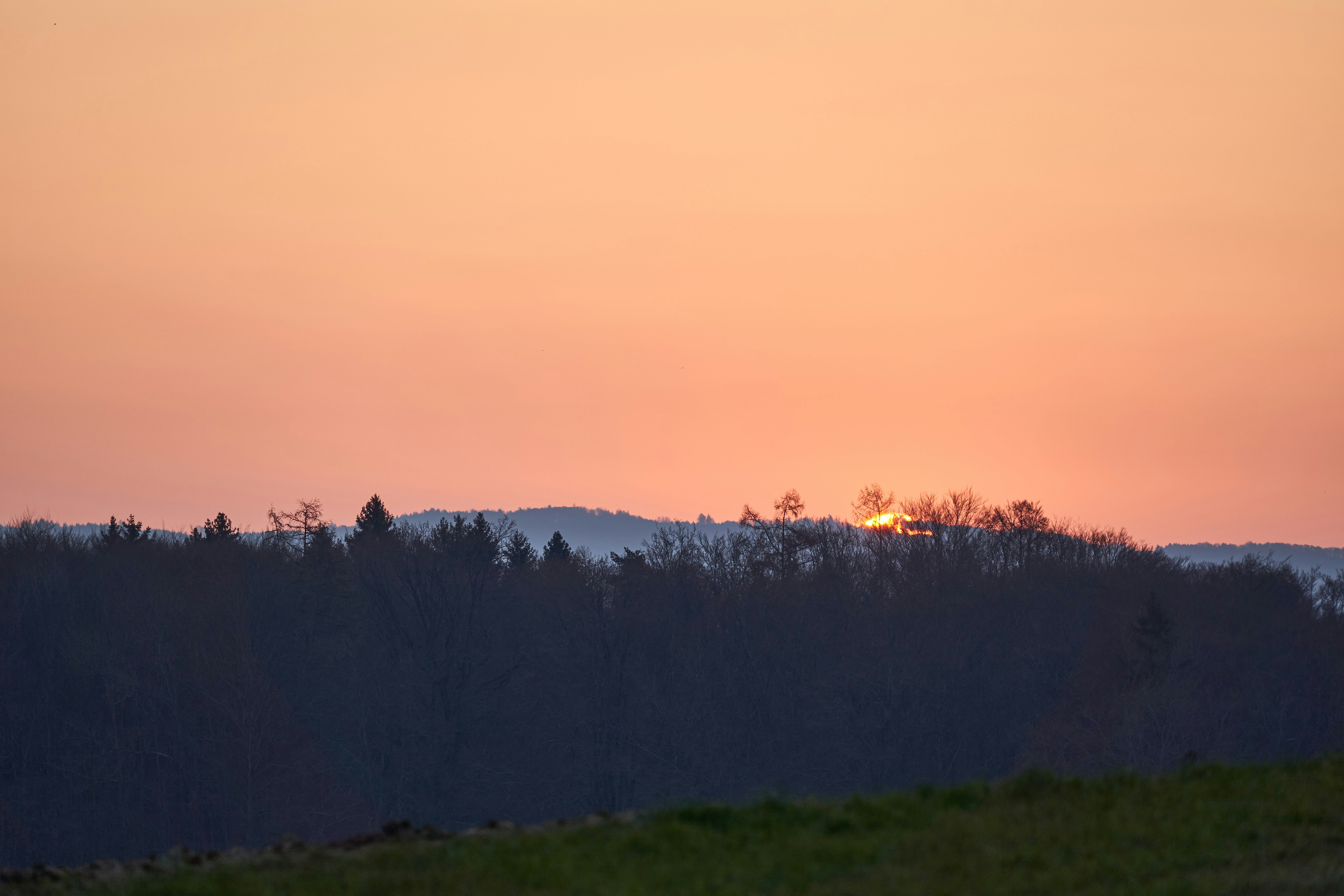 Photo by wolfgang_hasselmann